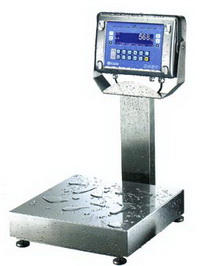 Digital Industrial Scales