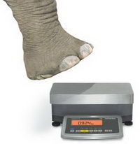 Industrial Scales for Sale