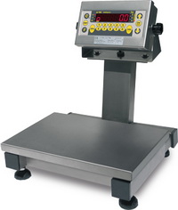 Salter Industrial Scales